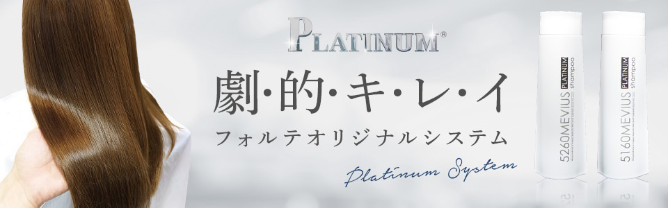 プラチナシステム